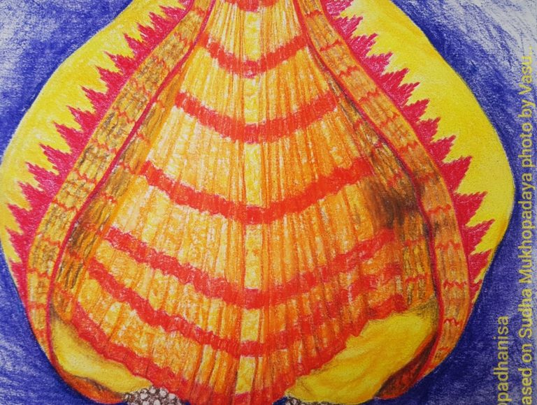 Odissi kleding